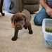 Marcus Wiley - Facebook