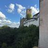 Marcus Wilhelm - @marcus.wilhelm - TikTok