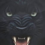 Marcus Willie - @marcus_willie - Instagram