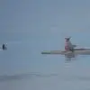 Marcus Willis - @marcus.willis95 - TikTok