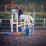 Marcus Willoughby - @marcusxwilloughbyx51 - Instagram