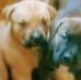 Marcus Witherspoon - Facebook