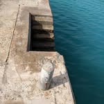 Marcus Witte - @gus_witte - Instagram