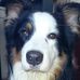 Markus Witte - Facebook