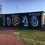 Marcus Wolf - @marcuswolf8100 - Instagram