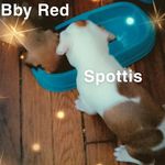 Marcus Woodruff - @woodruff4905 - Instagram