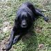Mark Woodruff - Facebook