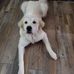Marcus Workman - Facebook