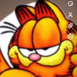 Markus Wrobel - @garifields_finsta_thingy - Instagram