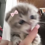 Marcus Wu - @marcus_wu_bs - Instagram