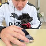 Marcus WU - @marcuswu5169 - Instagram