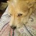 Mark Wynes - Facebook