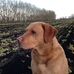 Marcus Yardy - Facebook