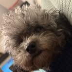 Marcus Yim - Facebook