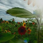 Marcus Yoder - @the_department1815 - Instagram