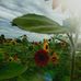 Marcus Yoder - Facebook