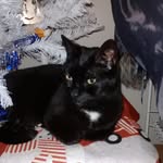 Marcy Arndt - @marcyann1972 - Instagram