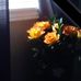 Marcy Avery Poisson - Facebook