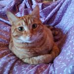 Marcy Bates - @marcybates51 - Instagram