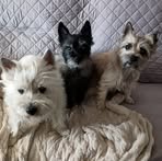 Marcy Bates - Facebook