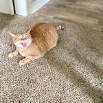marcy Lynne Bates - @marcy_cienna_chazz - Instagram