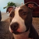 Marcy Becker - @beckermarcy - Instagram