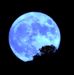 Marcia Berger - Facebook