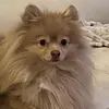 Marcie Berry - @marcie.berry0 - TikTok