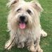 Marcy Butler Williford - Facebook