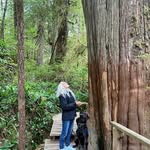 Marci Carlson - @marcicarlsonart - Instagram