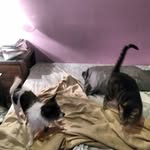 Marcy Case - @casemarcy - Instagram