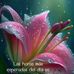 Marcy Bertha Castillo - Facebook