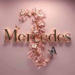 Mercy Castle - Facebook