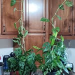 Marci Chase - @marcic79 - Instagram