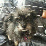 Marcy Cole - @audix1036 - Instagram