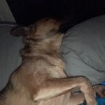 Marcy Cole - @mommamiacole - Instagram