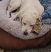 Marcy Compton - Facebook