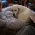 Marcy Compton - Facebook
