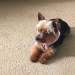 Marcy Howells Conley - @marcyconley01 - Instagram