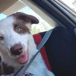 marcy conner - @marcy9930uh - Instagram