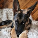Marcy Cooper - @gradeonerocks - Instagram