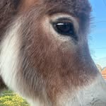 Marcy Cooper Colin - @marcycoopercolin - Instagram