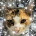 Marcy Crain - Facebook