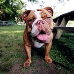 Marcy - @marcydalton.37 - Instagram