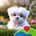 Mercy Tanuii - Facebook