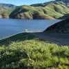 Marcia Frank - @marcia.frank7 - TikTok