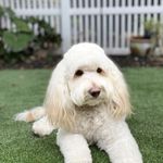 Marcy frank - @marcyfrank98 - Instagram