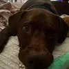 marcygarrison6 - @marcy.garrison - TikTok