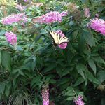 Marcy Goldstein - @goldstein.marcy - Instagram
