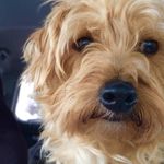 Marcy J. Goldstein - @mjg333 - Instagram